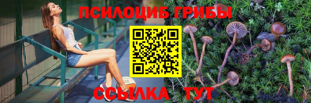 Псилоцибиновые грибы Magic Shrooms  Вход с VPN  Мончегорск 